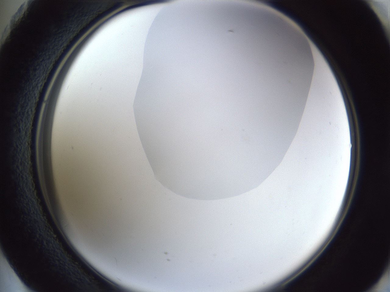folderID162_plateID1162_batchID3203_wellNum73_profileID1_d2_r62192_ef.jpg