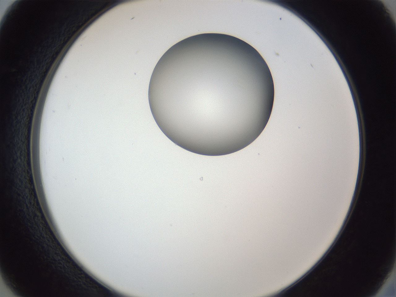 folderID162_plateID1162_batchID3203_wellNum26_profileID1_d2_r62098_ef.jpg