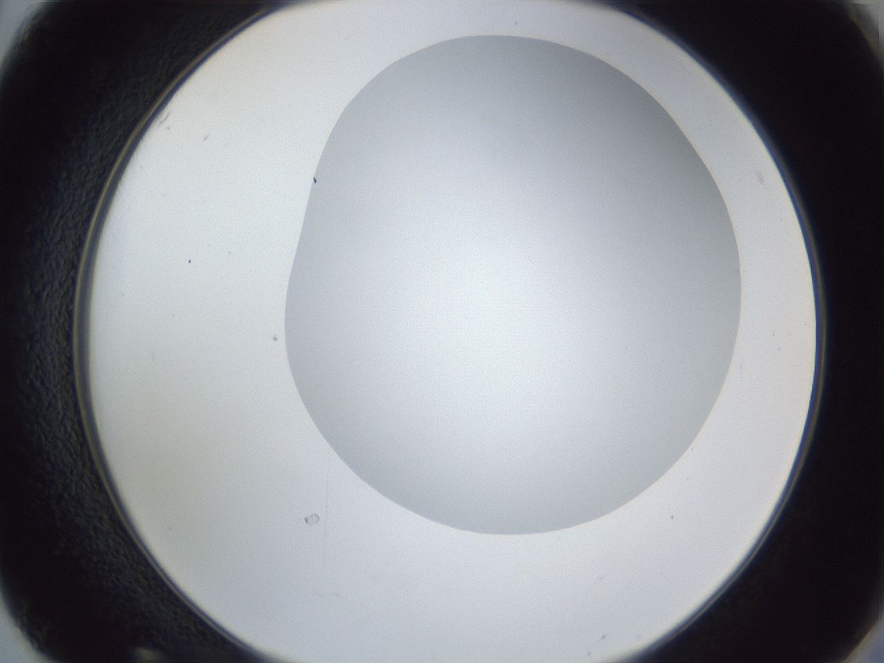 folderID162_plateID1162_batchID3203_wellNum50_profileID1_d2_r62146_ef.jpg