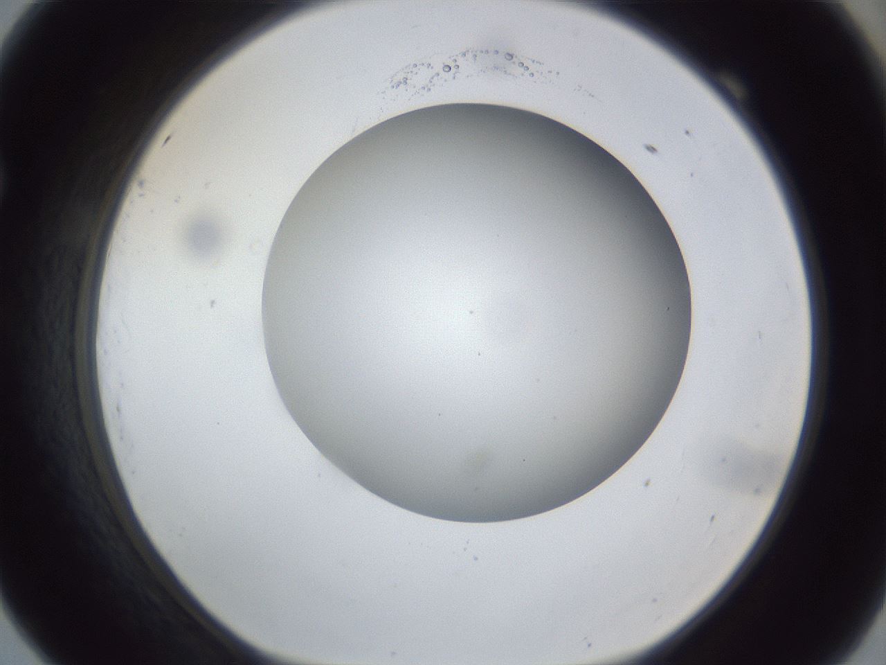 folderID162_plateID1162_batchID3203_wellNum69_profileID1_d1_r62183_ef.jpg