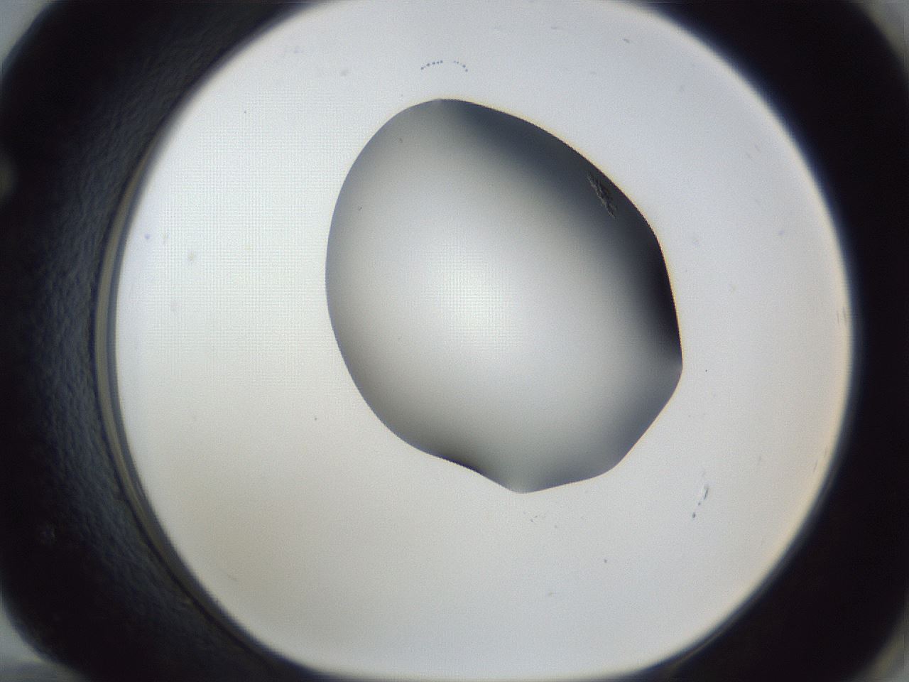 folderID162_plateID1162_batchID3203_wellNum72_profileID1_d1_r62189_ef.jpg