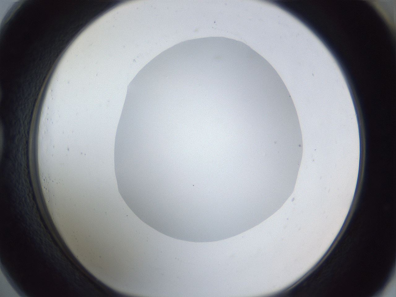folderID162_plateID1162_batchID3203_wellNum73_profileID1_d1_r62191_ef.jpg