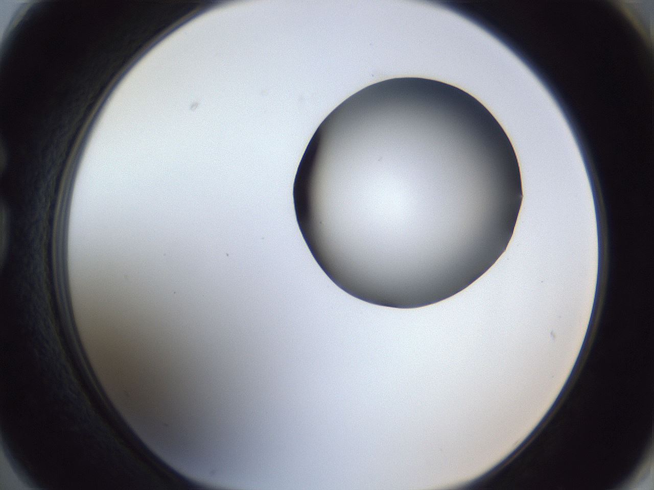 folderID162_plateID1162_batchID3203_wellNum74_profileID1_d1_r62193_ef.jpg
