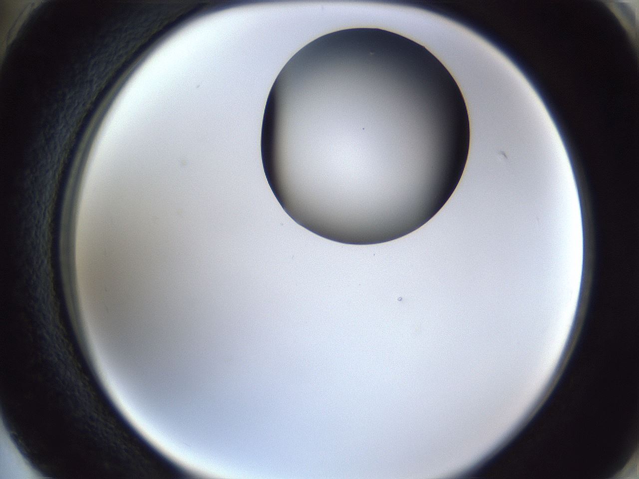 folderID162_plateID1162_batchID3203_wellNum74_profileID1_d2_r62194_ef.jpg