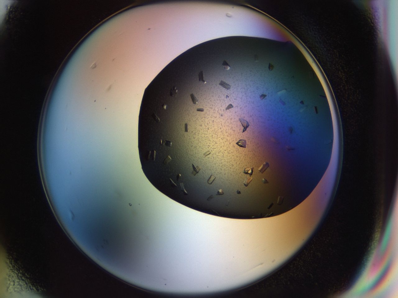 02hj_F7_ImagerDefaults_9.jpg
