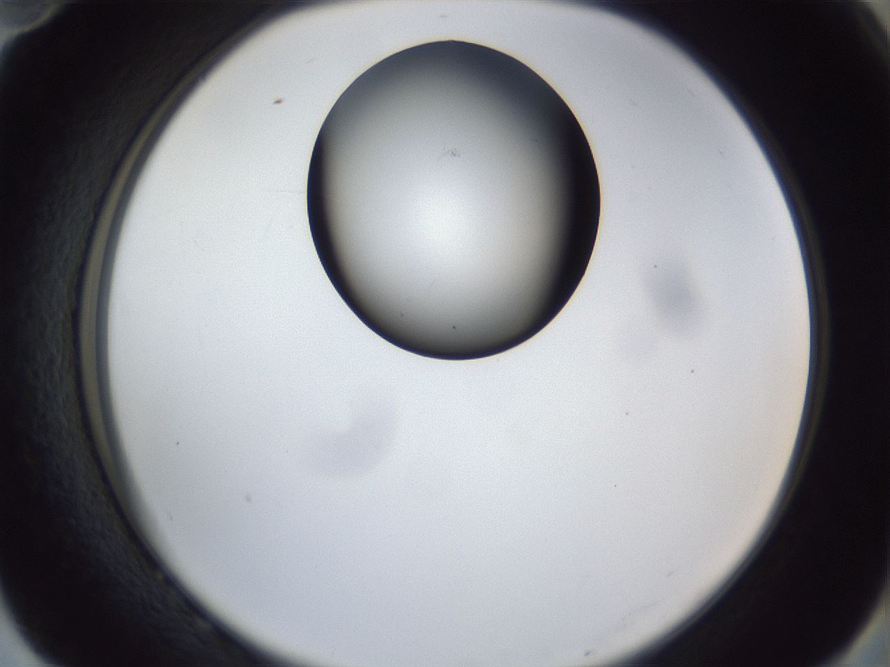 folderID162_plateID1162_batchID3203_wellNum82_profileID1_d2_r62210_ef.jpg