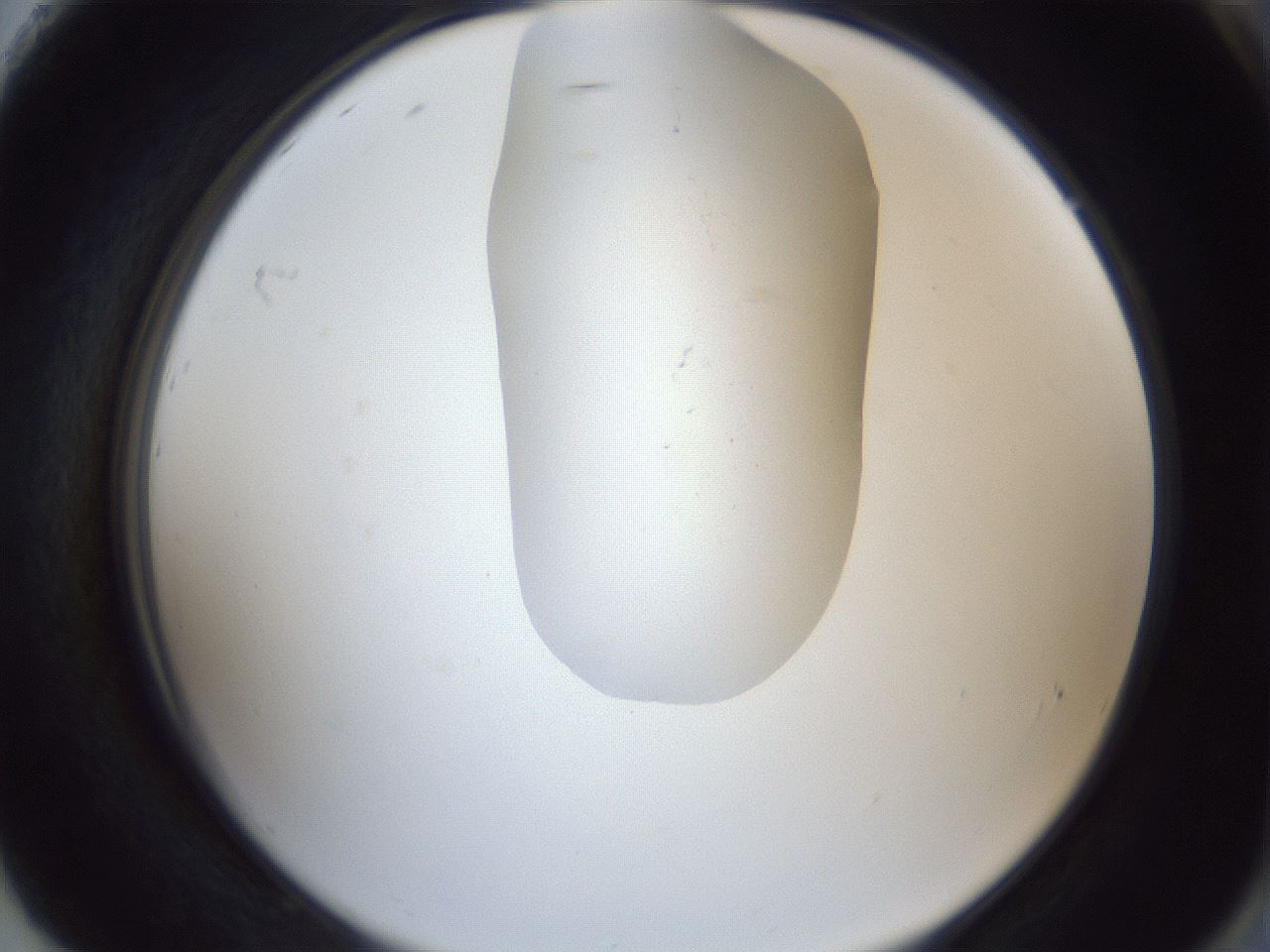 folderID162_plateID1162_batchID3203_wellNum92_profileID1_d2_r62230_ef.jpg