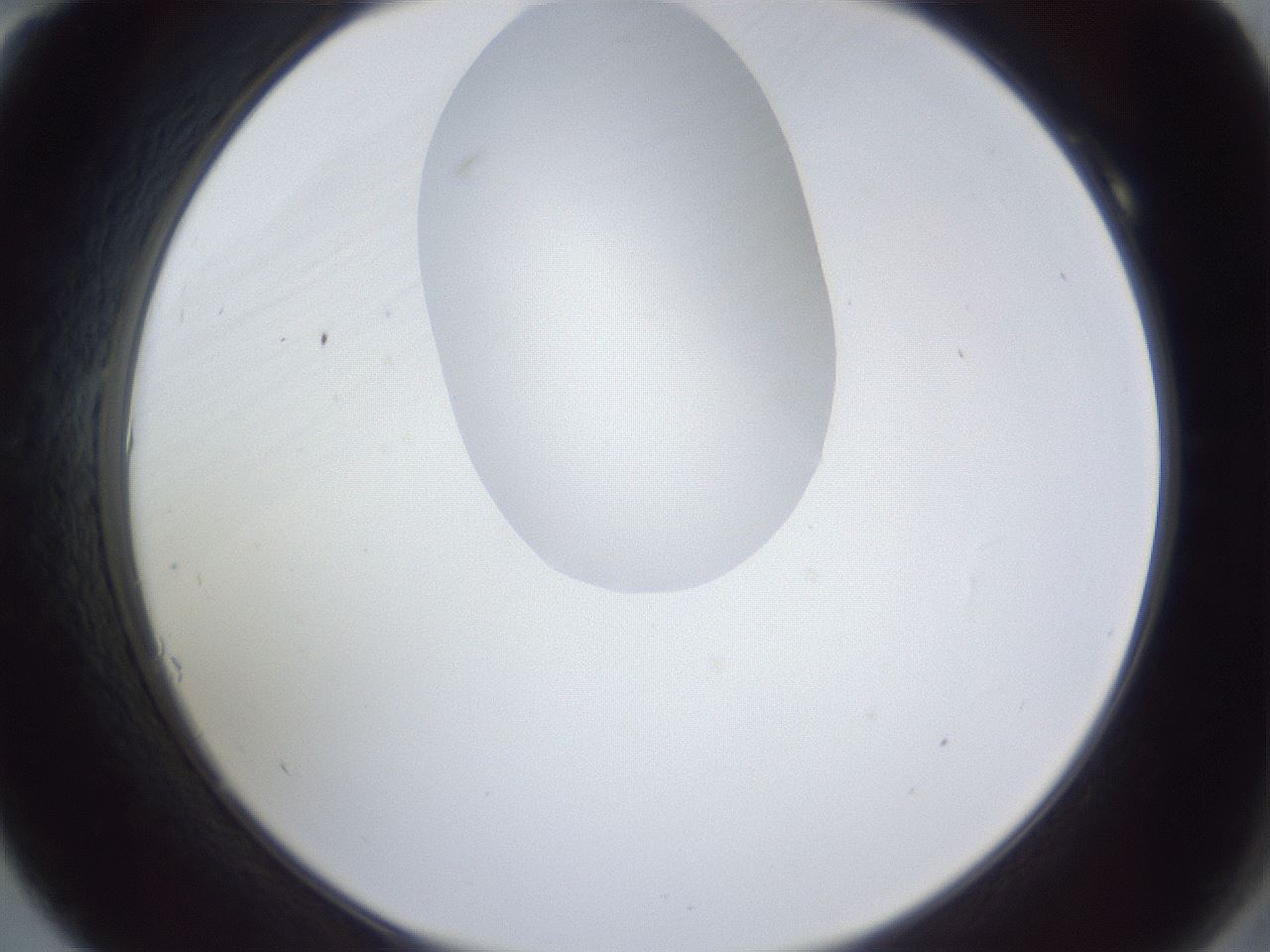 folderID163_plateID1163_batchID3206_wellNum10_profileID1_d2_r62642_ef.jpg