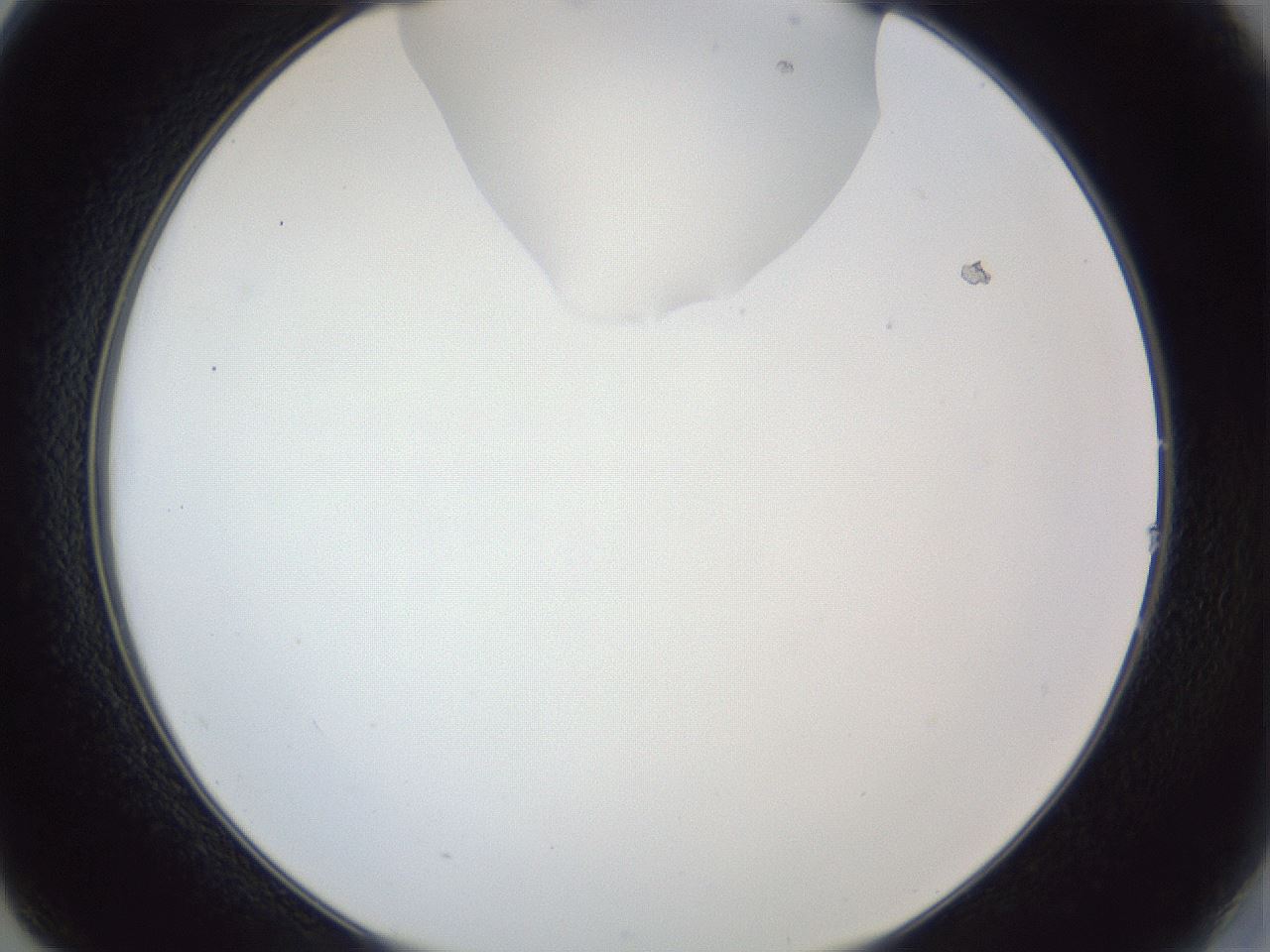 folderID163_plateID1163_batchID3206_wellNum14_profileID1_d2_r62650_ef.jpg