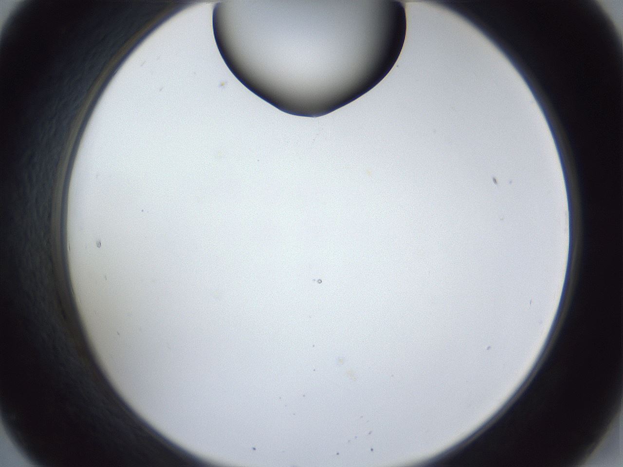 folderID163_plateID1163_batchID3206_wellNum20_profileID1_d2_r62662_ef.jpg