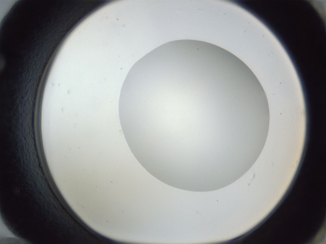 folderID163_plateID1163_batchID3206_wellNum72_profileID1_d1_r62765_ef.jpg