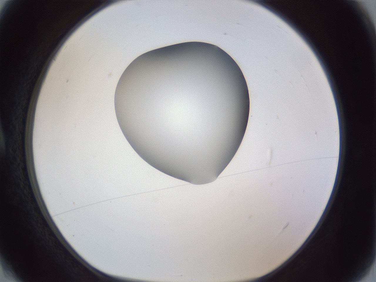 folderID164_plateID1164_batchID3211_wellNum4_profileID1_d1_r63781_ef.jpg