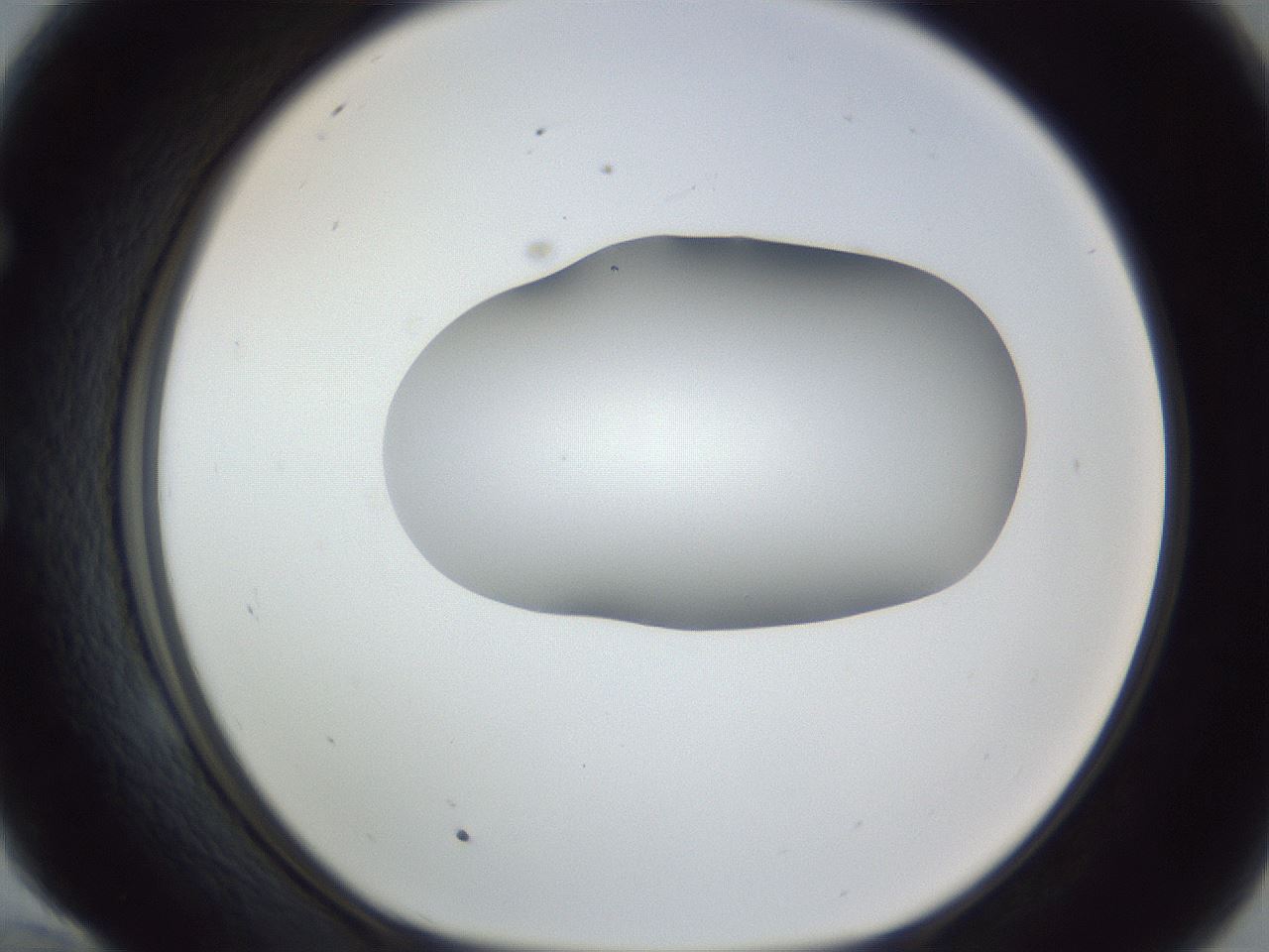 folderID164_plateID1164_batchID3211_wellNum58_profileID1_d1_r63889_ef.jpg