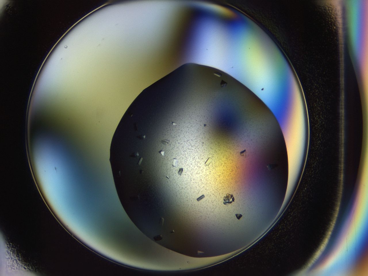 02hj_F1_ImagerDefaults_9.jpg
