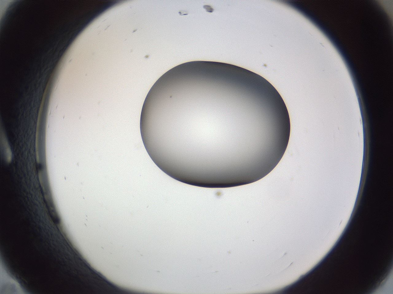 folderID164_plateID1164_batchID3211_wellNum11_profileID1_d1_r63795_ef.jpg