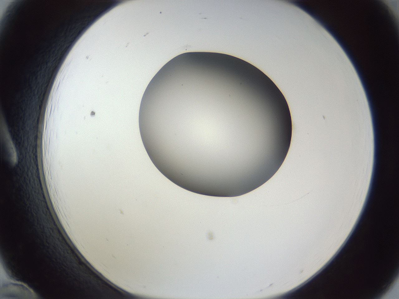 folderID164_plateID1164_batchID3211_wellNum12_profileID1_d1_r63797_ef.jpg