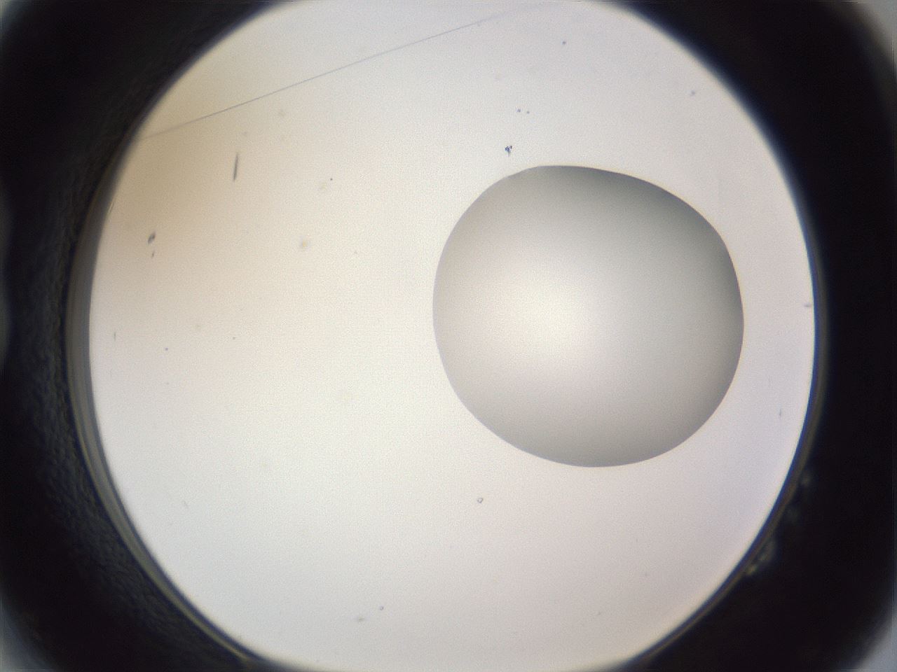 folderID164_plateID1164_batchID3211_wellNum14_profileID1_d1_r63801_ef.jpg