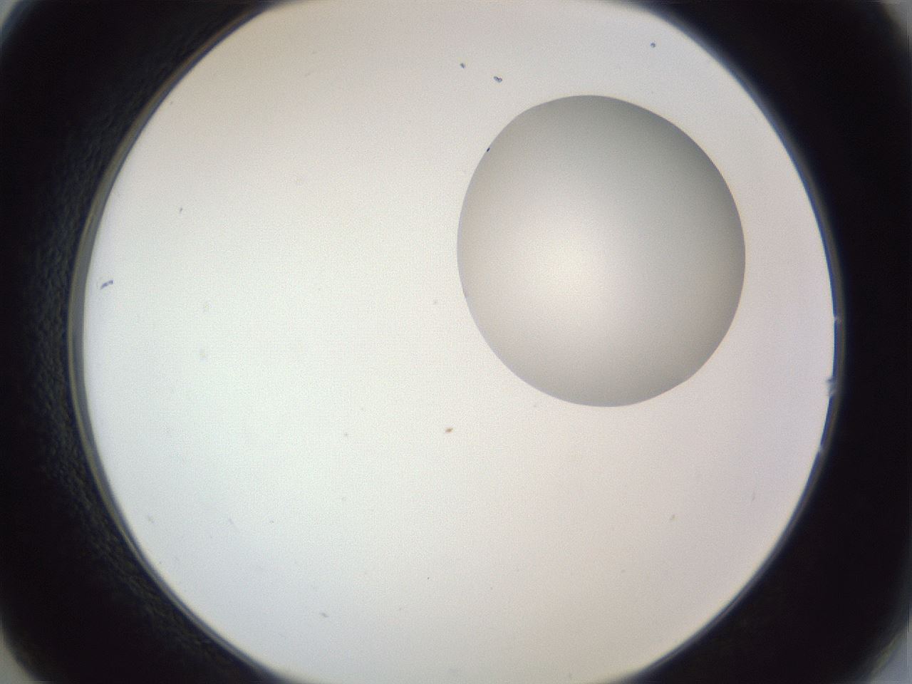 folderID164_plateID1164_batchID3211_wellNum14_profileID1_d2_r63802_ef.jpg