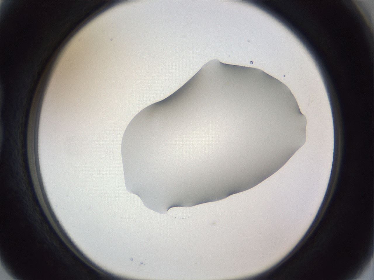 folderID164_plateID1164_batchID3211_wellNum15_profileID1_d1_r63803_ef.jpg