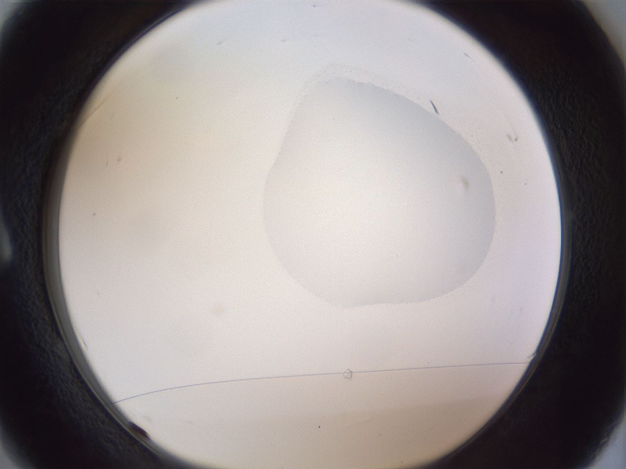 folderID164_plateID1164_batchID3211_wellNum1_profileID1_d1_r63775_ef.jpg