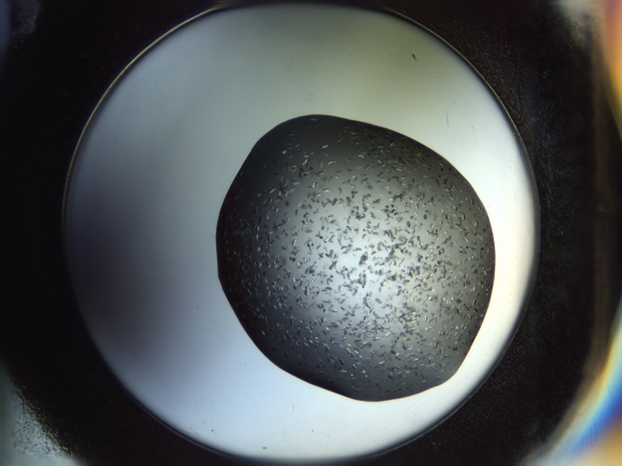 02hj_E11_ImagerDefaults_6.jpg