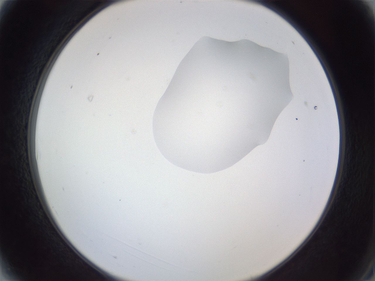 folderID164_plateID1164_batchID3211_wellNum3_profileID1_d2_r63780_ef.jpg