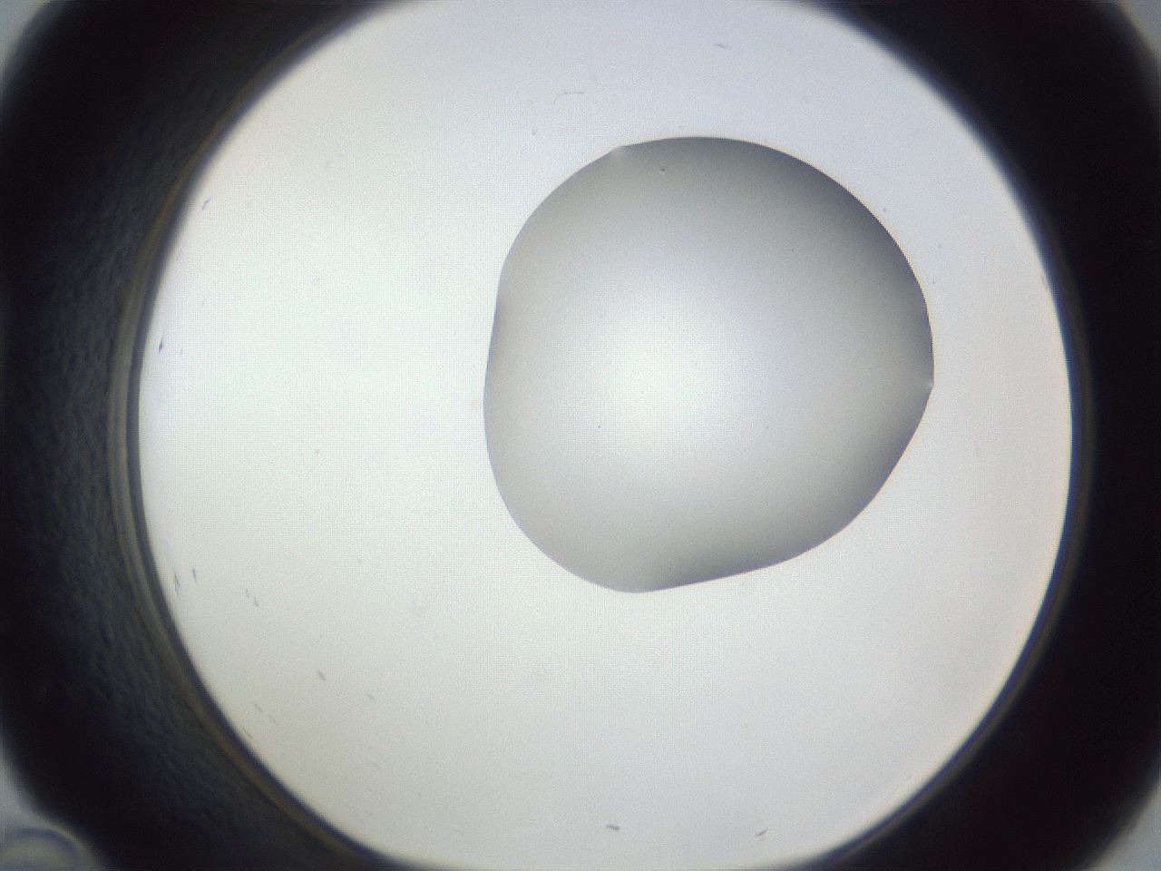 folderID164_plateID1164_batchID3211_wellNum46_profileID1_d1_r63865_ef.jpg