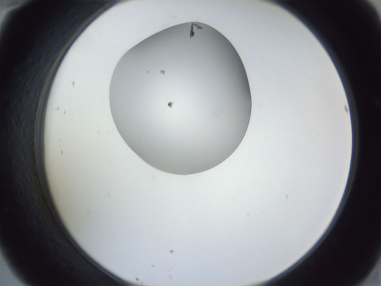 folderID164_plateID1164_batchID3211_wellNum46_profileID1_d2_r63866_ef.jpg