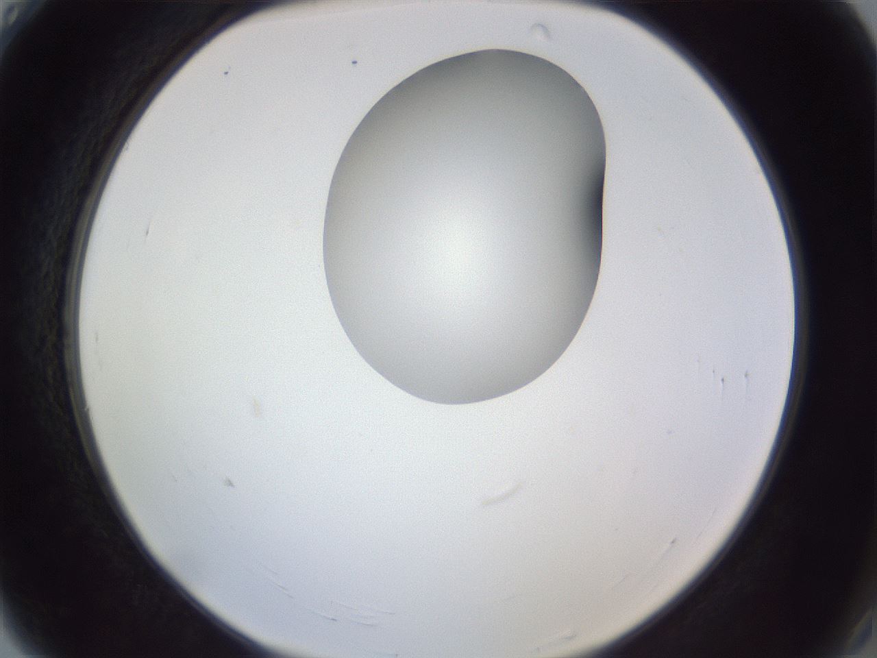 folderID164_plateID1164_batchID3211_wellNum4_profileID1_d2_r63782_ef.jpg
