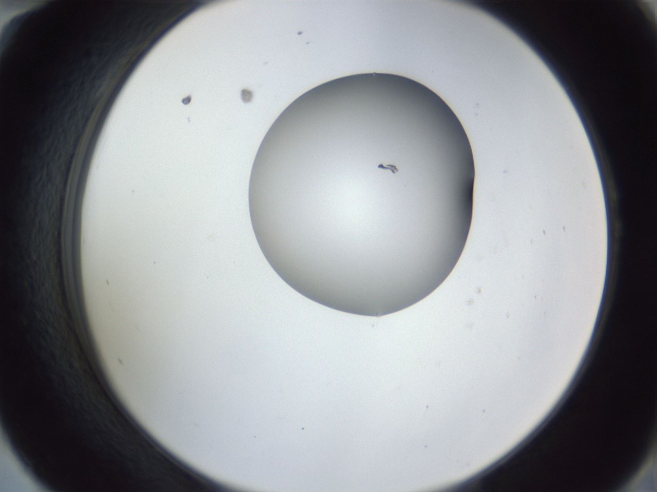 folderID164_plateID1164_batchID3211_wellNum58_profileID1_d2_r63890_ef.jpg