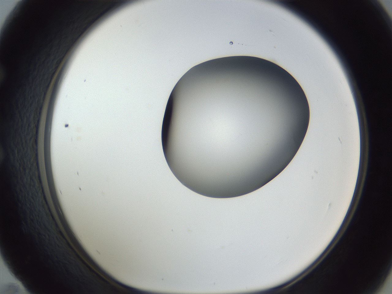folderID164_plateID1164_batchID3211_wellNum59_profileID1_d1_r63891_ef.jpg