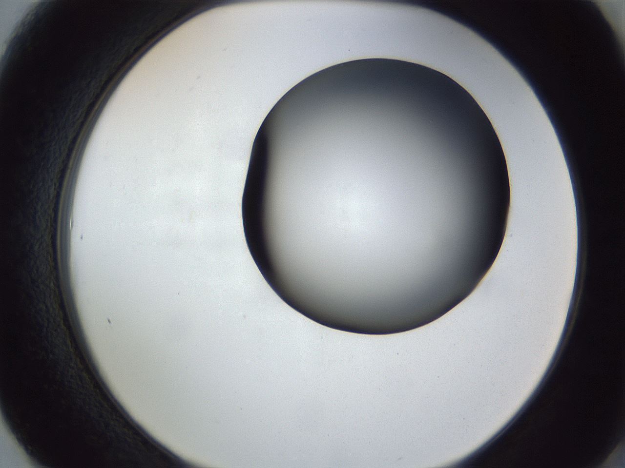 folderID164_plateID1164_batchID3211_wellNum61_profileID1_d2_r63896_ef.jpg