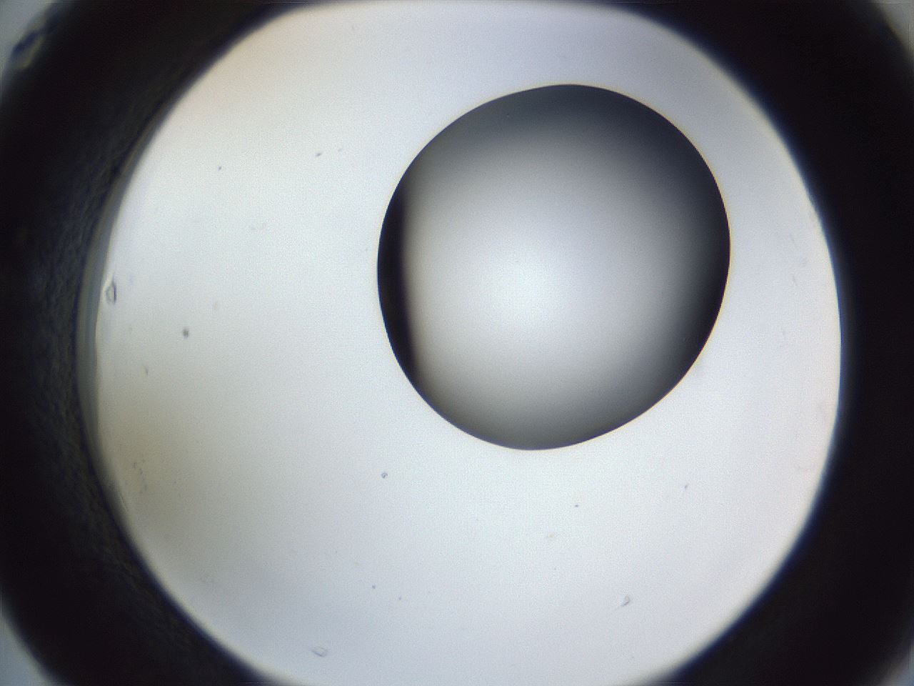 folderID164_plateID1164_batchID3211_wellNum63_profileID1_d2_r63900_ef.jpg