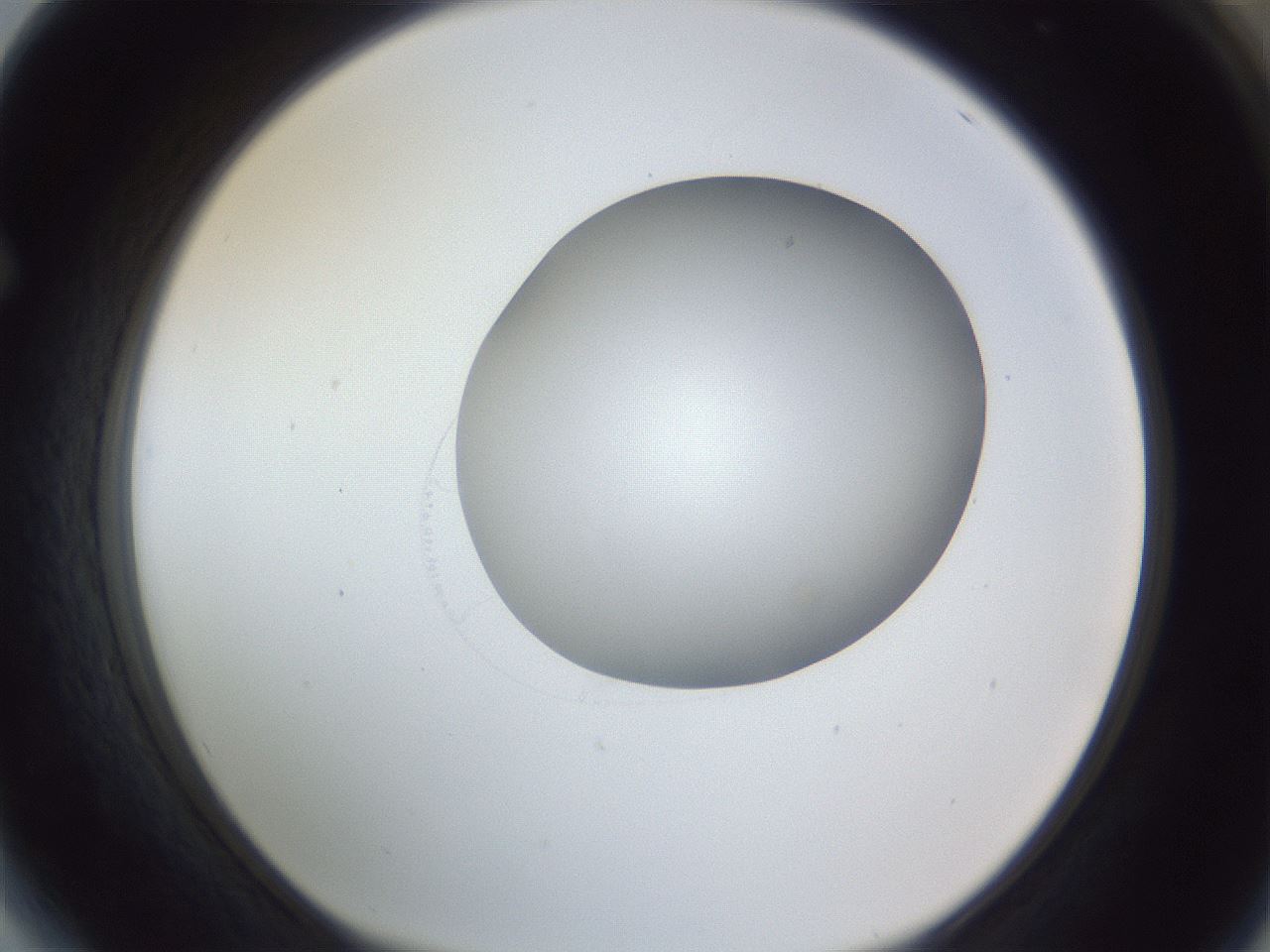 folderID164_plateID1164_batchID3211_wellNum64_profileID1_d1_r63901_ef.jpg
