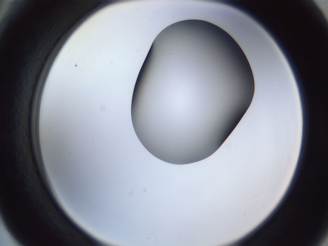 folderID164_plateID1164_batchID3211_wellNum66_profileID1_d2_r63906_ef.jpg