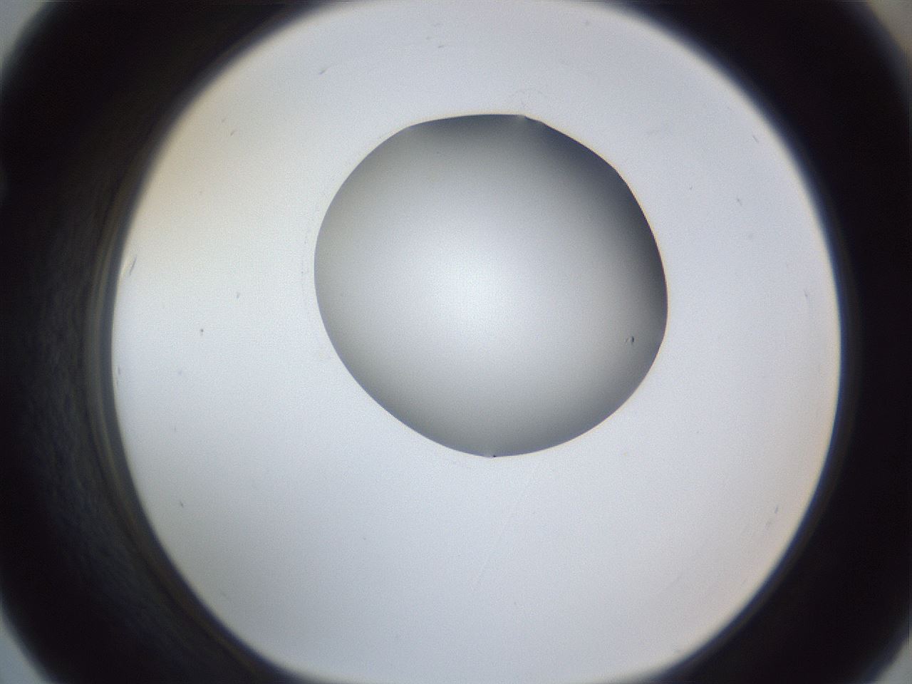 folderID164_plateID1164_batchID3211_wellNum67_profileID1_d1_r63907_ef.jpg