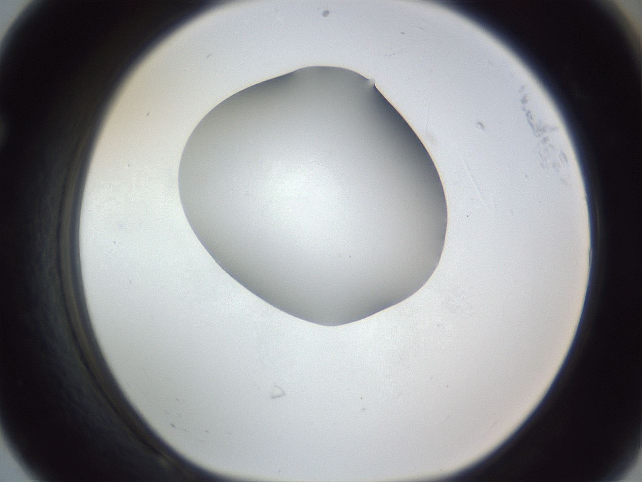 folderID164_plateID1164_batchID3211_wellNum68_profileID1_d1_r63909_ef.jpg