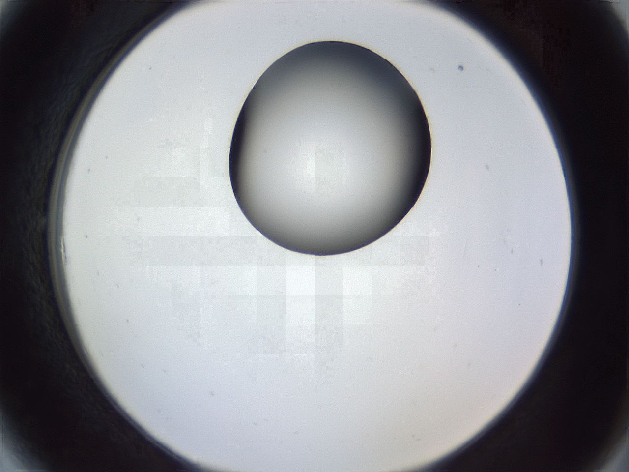 folderID164_plateID1164_batchID3211_wellNum6_profileID1_d2_r63786_ef.jpg