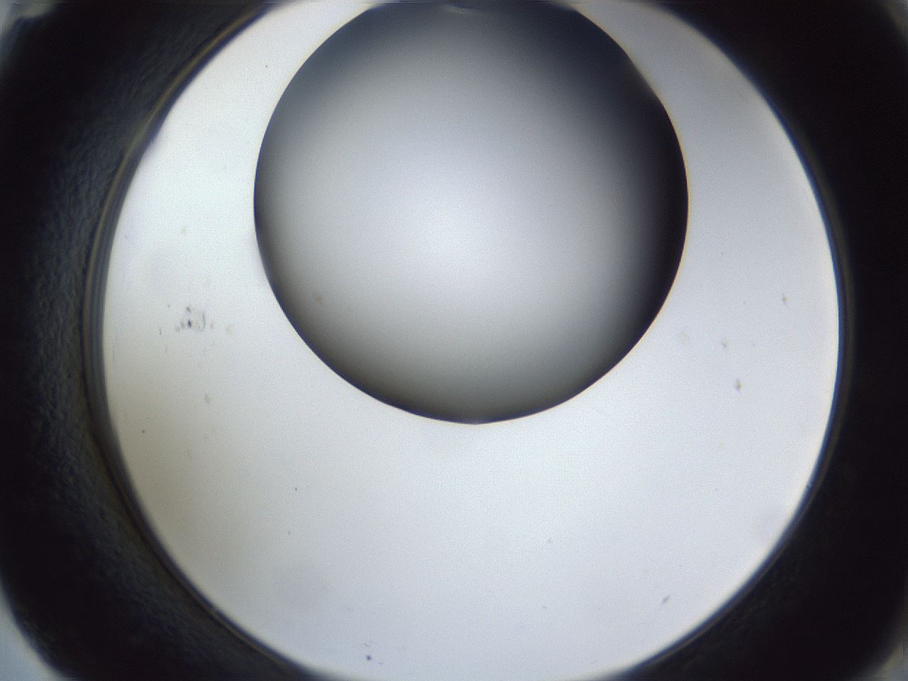 folderID164_plateID1164_batchID3211_wellNum71_profileID1_d2_r63916_ef.jpg