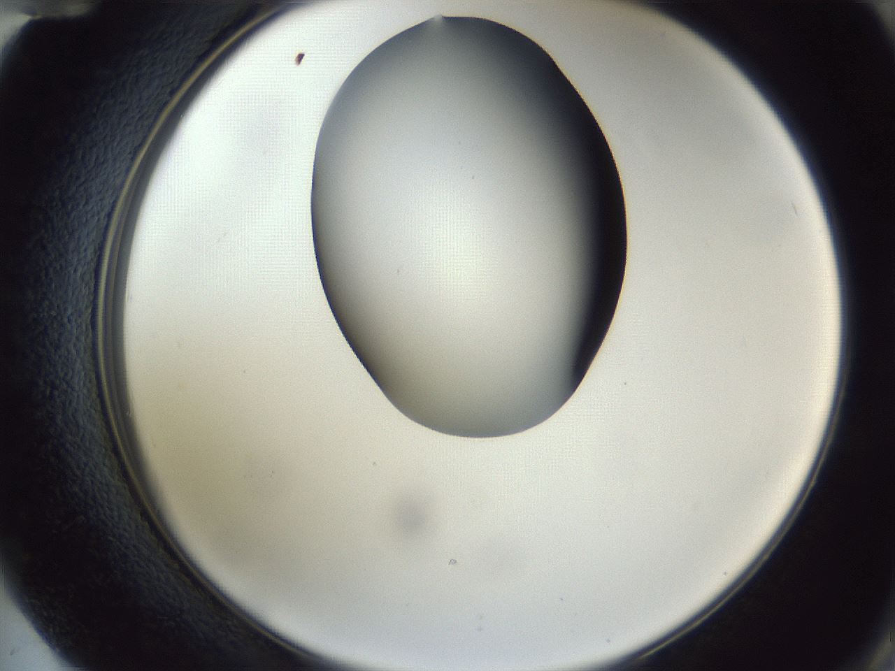 folderID164_plateID1164_batchID3211_wellNum72_profileID1_d2_r63918_ef.jpg