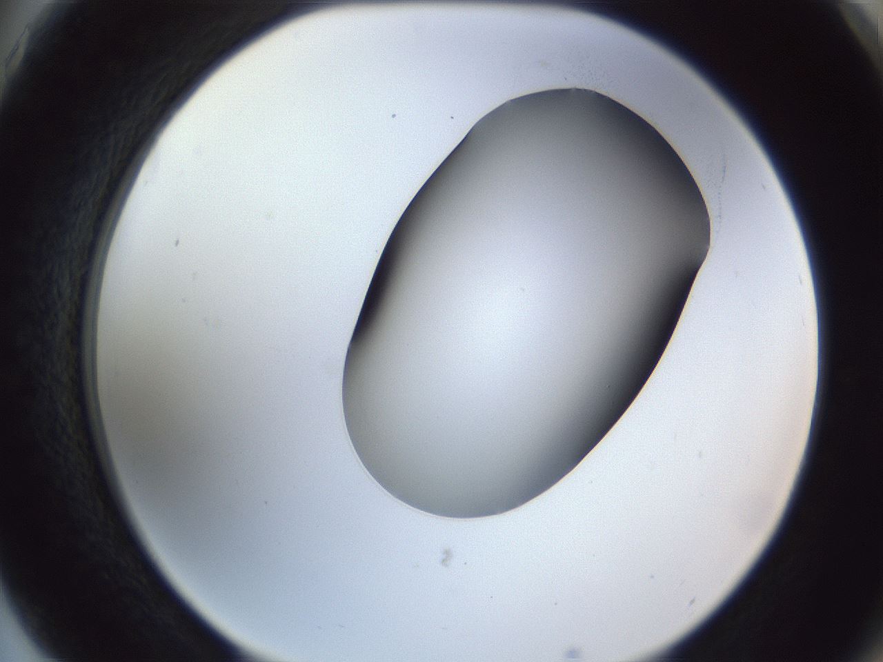 folderID164_plateID1164_batchID3211_wellNum75_profileID1_d2_r63924_ef.jpg