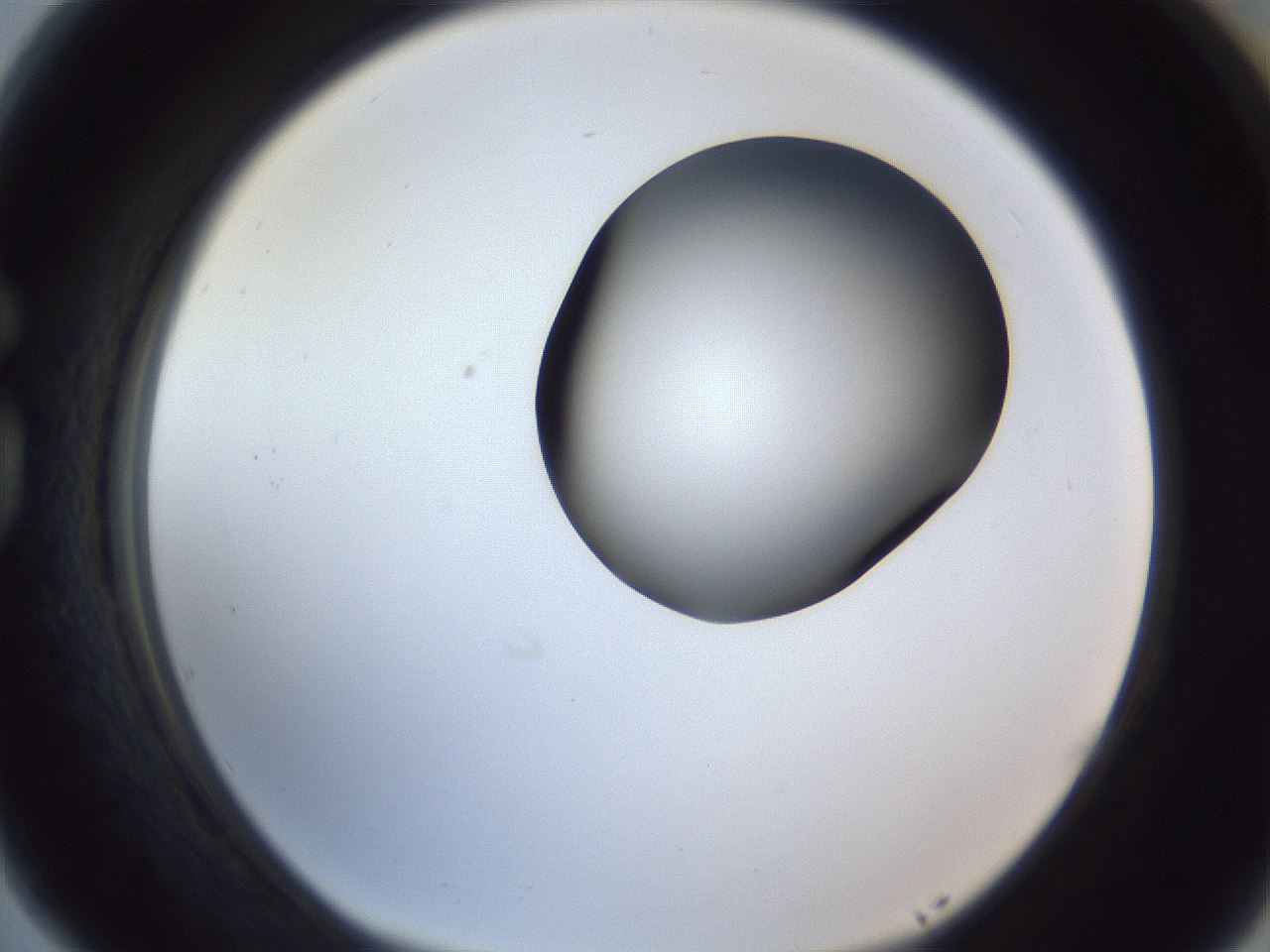 folderID164_plateID1164_batchID3211_wellNum77_profileID1_d1_r63927_ef.jpg