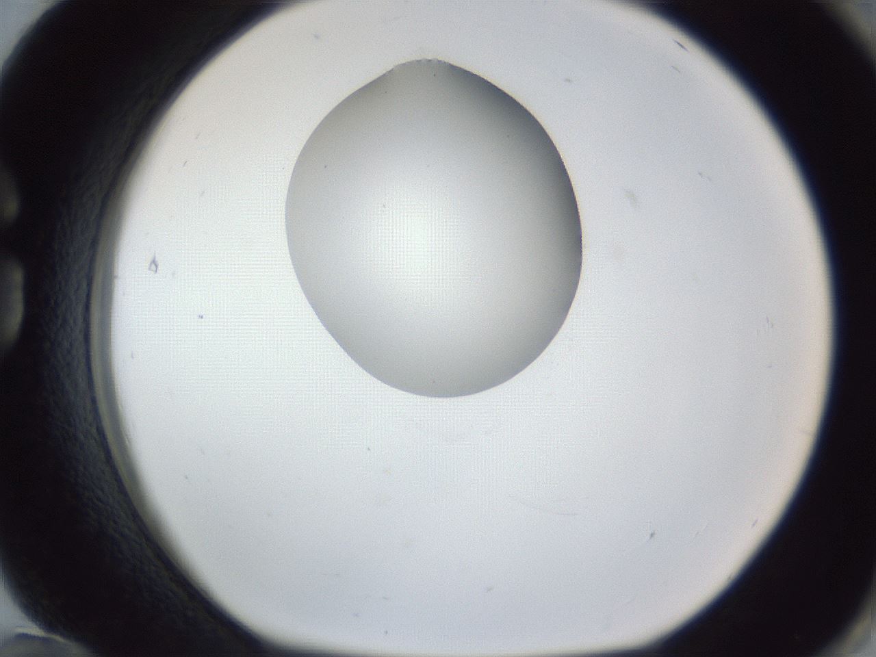 folderID164_plateID1164_batchID3211_wellNum84_profileID1_d1_r63941_ef.jpg