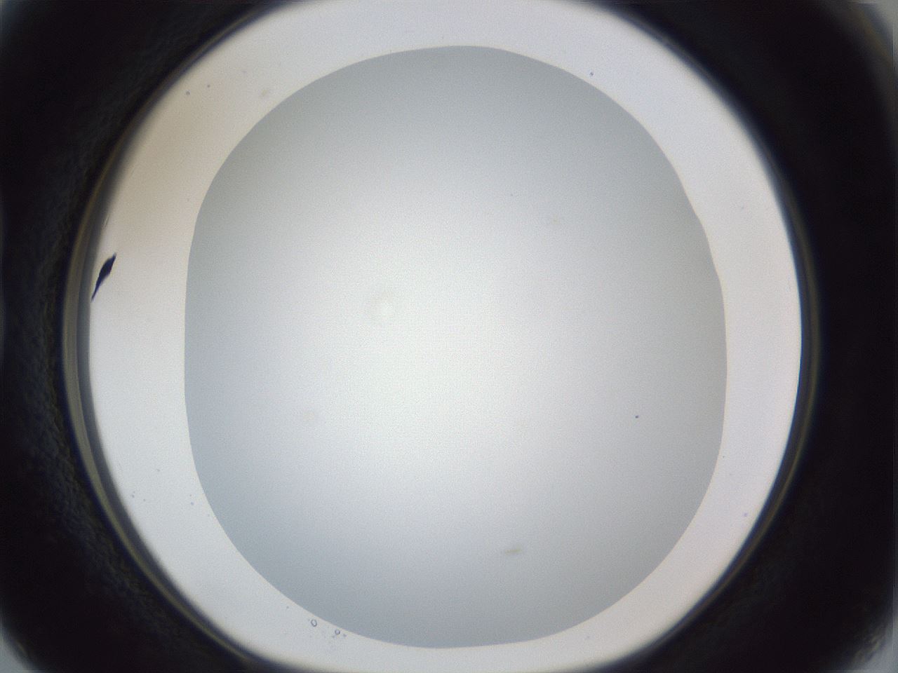 folderID165_plateID1165_batchID3067_wellNum15_profileID1_d1_r61115_ef.jpg