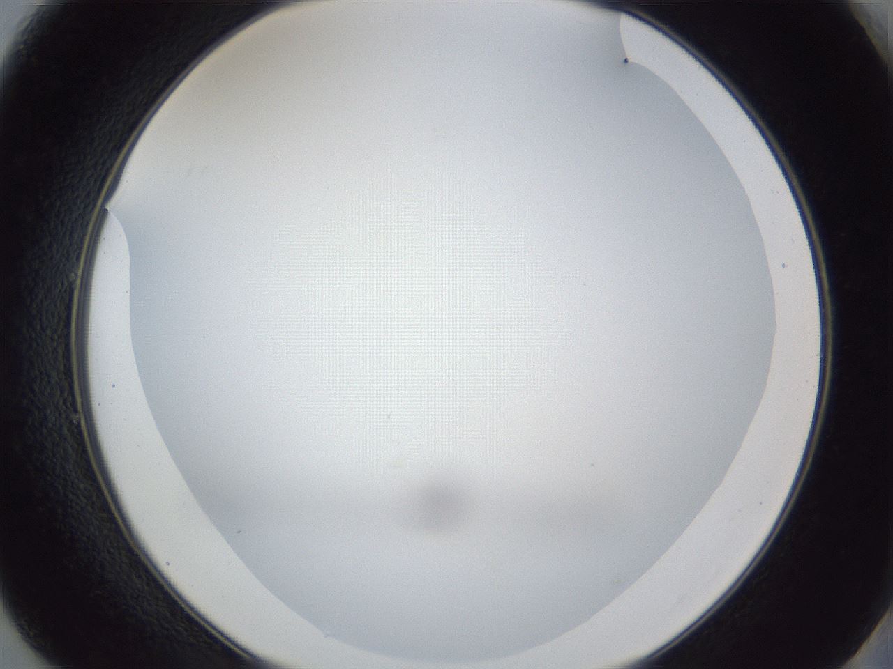folderID165_plateID1165_batchID3067_wellNum49_profileID1_d2_r61184_ef.jpg