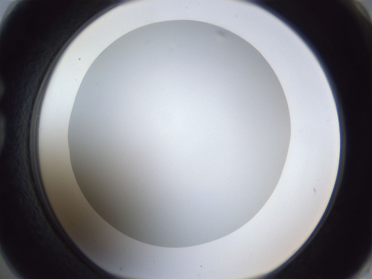 folderID165_plateID1165_batchID3067_wellNum74_profileID1_d1_r61233_ef.jpg