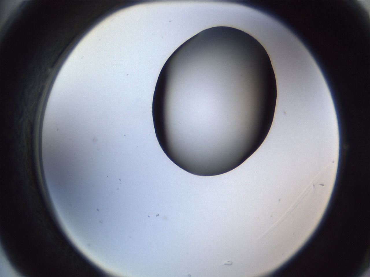 folderID164_plateID1164_batchID3211_wellNum77_profileID1_d2_r63928_ef.jpg
