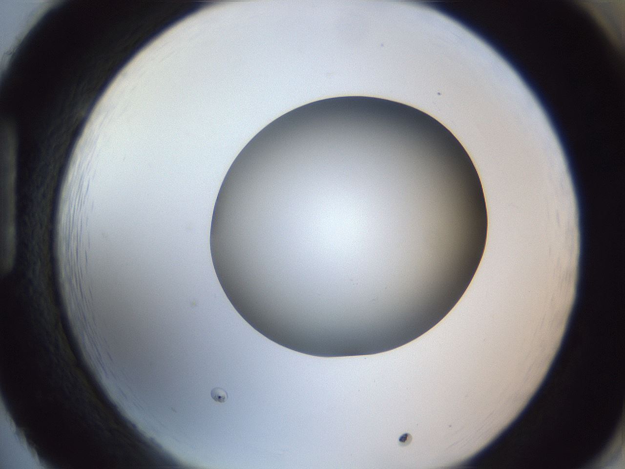 folderID164_plateID1164_batchID3211_wellNum86_profileID1_d1_r63945_ef.jpg