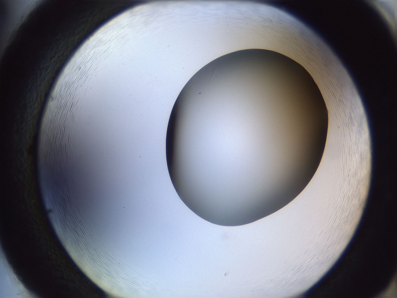 folderID164_plateID1164_batchID3211_wellNum86_profileID1_d2_r63946_ef.jpg