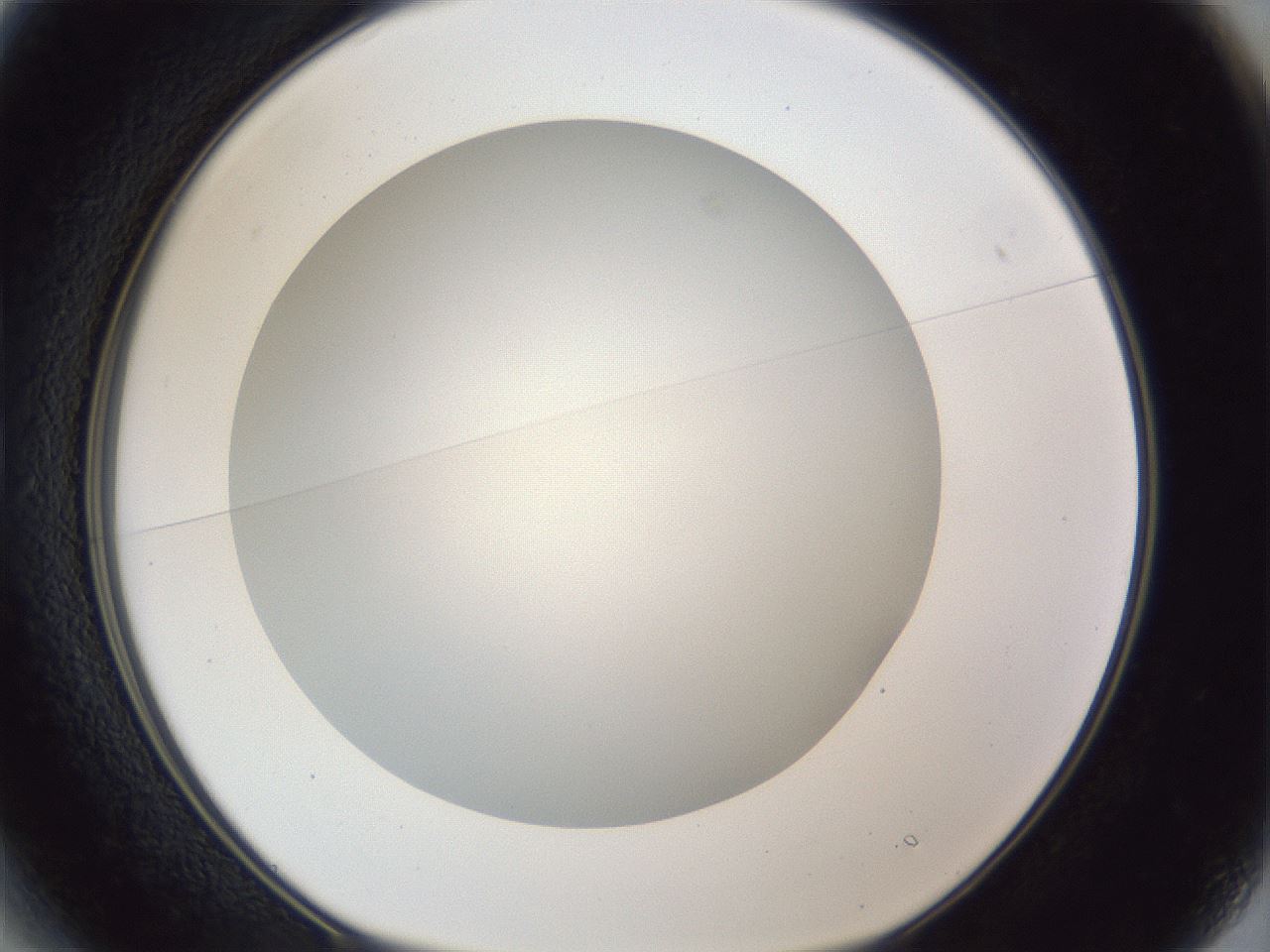 folderID165_plateID1165_batchID3067_wellNum13_profileID1_d1_r61111_ef.jpg